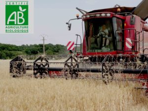 Une nouvelle réglementation pour l’agriculture biologique